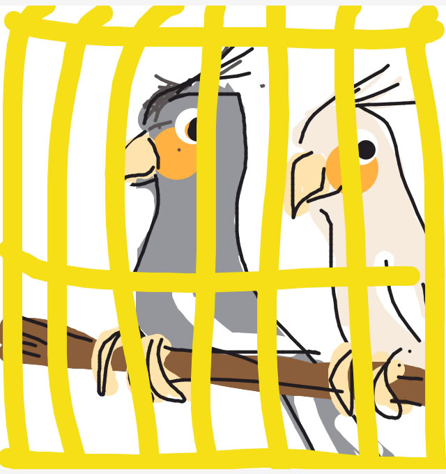 Nomisa Draw Something - Bird Cage NOMISA microfiber cleaning pouches iPhone 4 iPhone 5 eyeglasses
