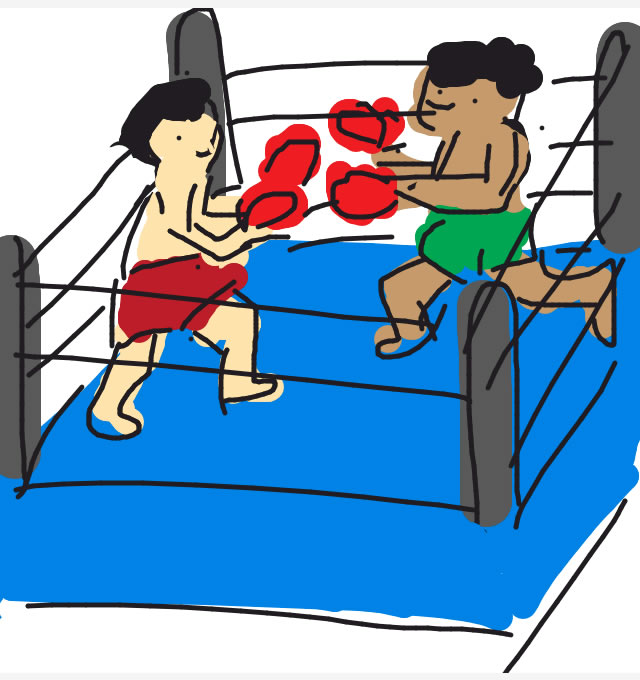 Nomisa - Draw Something - Boxing NOMISA microfiber cleaning pouches iPhone 4 iPhone 5